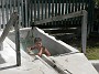 5.24- Un jeune maori dans son bain